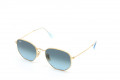  Солнцезащитные очки RAY-BAN 3548N 91233M 54