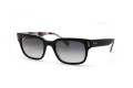  Солнцезащитные очки RAY-BAN 2190 13183A 55