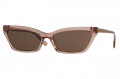 Сонцезахисні окуляри BULGET 9121 T01